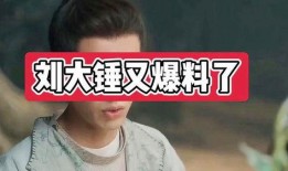 娱乐圈爆料大锤是谁,揭秘神秘爆料者身份